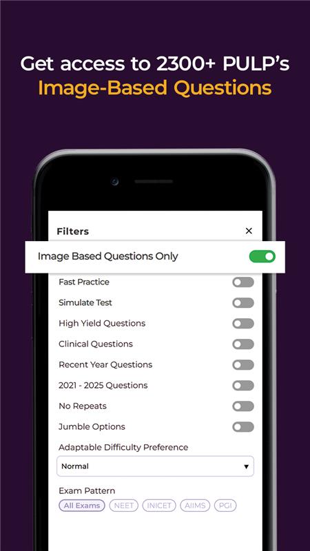 2300+ PULP’s Image-Based Questions.png